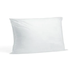 12x22 Polyester Pillow Insert