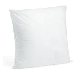 20x20 Polyester Pillow Insert